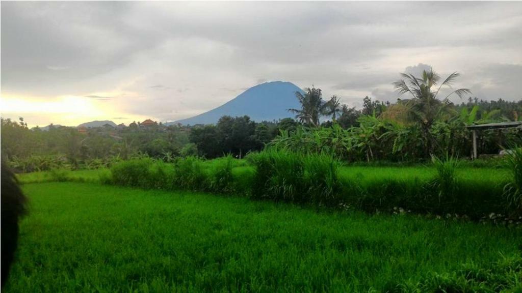 Pondok Intaran Karangasem Eksteriør bilde